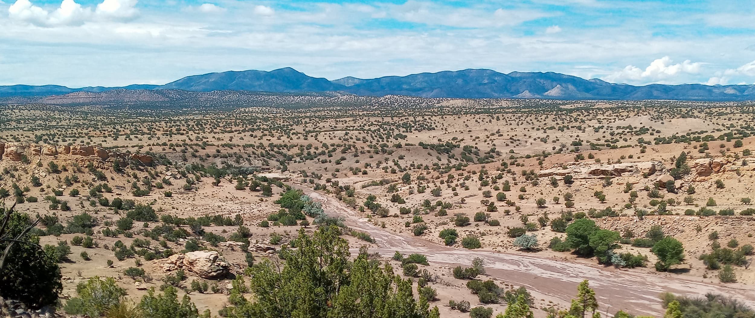 Alamo Chapter of Navajo Nation | Land Acknowledgment Toolkit — NMAHC
